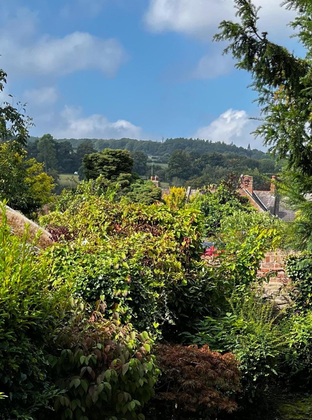Flower Cottage By Ludlow Castle With Onsite Parking מראה חיצוני תמונה