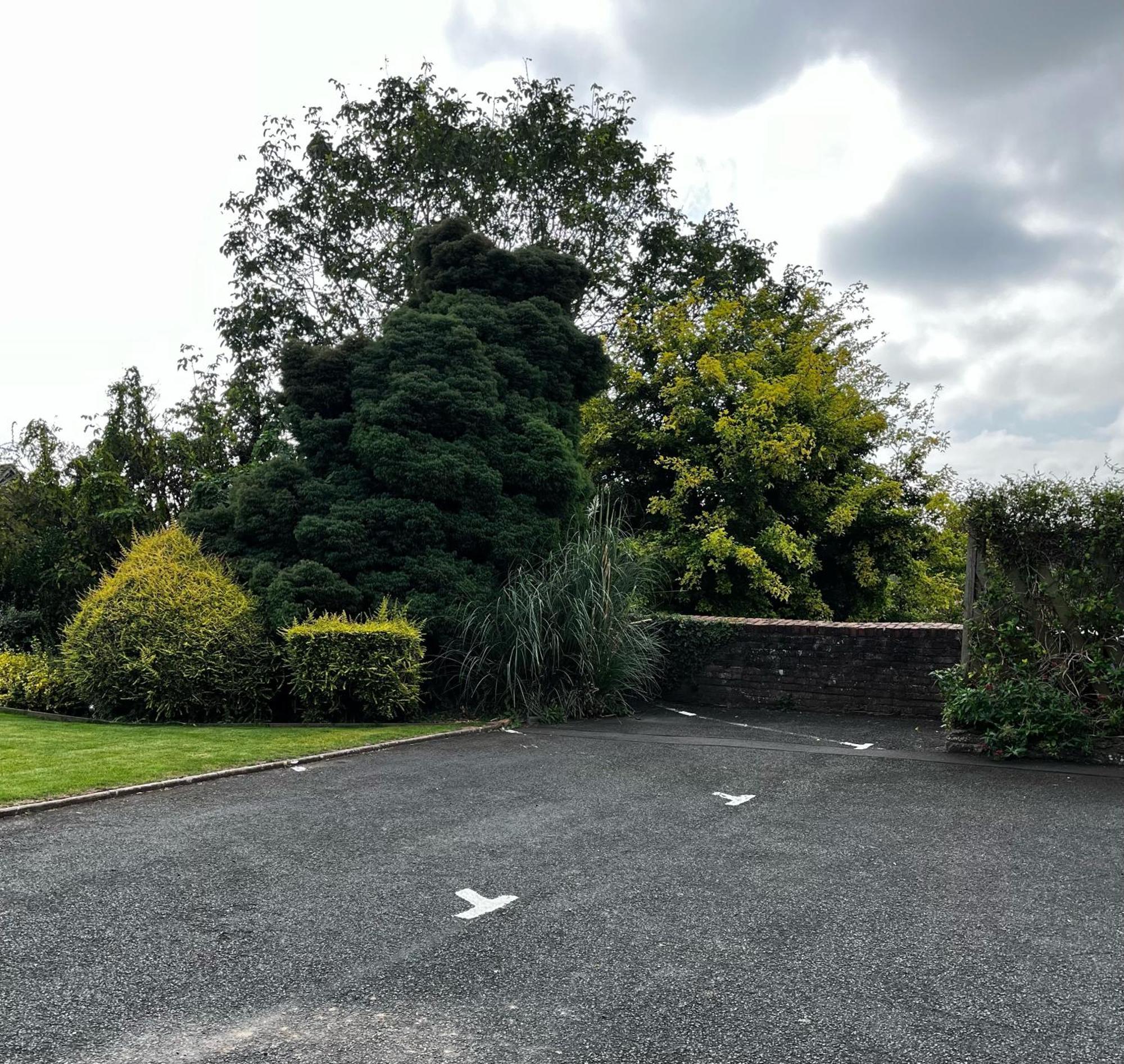 Flower Cottage By Ludlow Castle With Onsite Parking מראה חיצוני תמונה